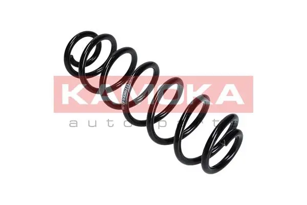 Suspension Spring