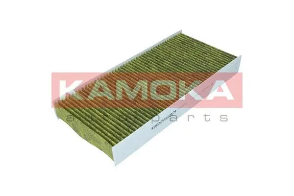 Filter, cabin air (6080051)