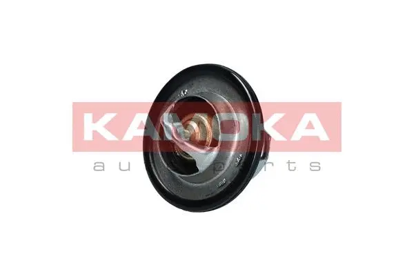 Thermostat, coolant