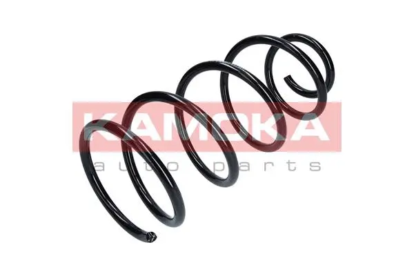 Suspension Spring (2110259)