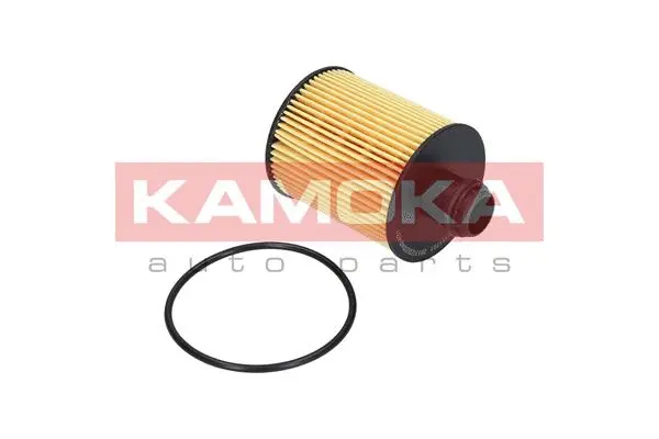 Oil Filter (F111701)