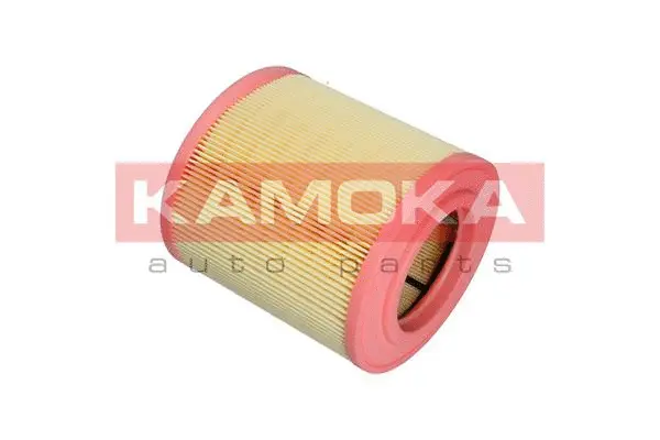 Air Filter (F239501)