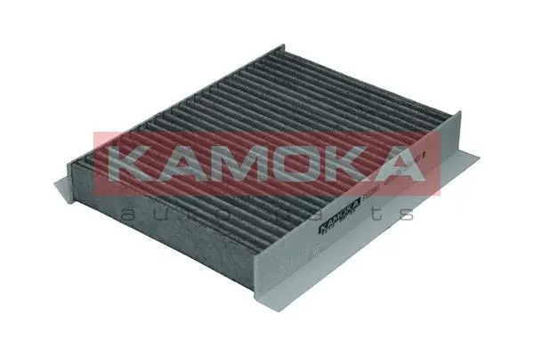 Filter, cabin air (F512801)
