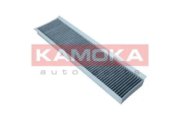 Filter, cabin air (F520101)