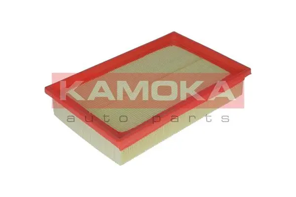 Air Filter (F234501)