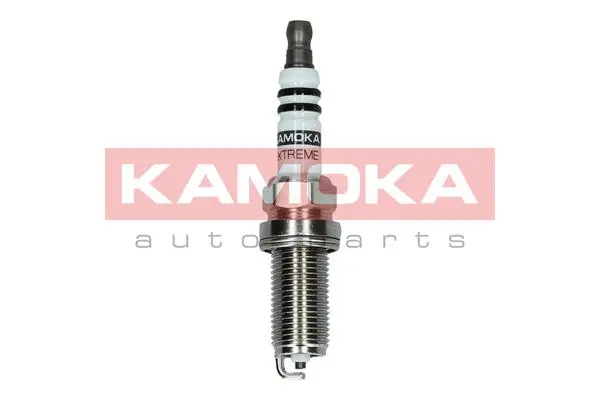 Spark Plug (7090527)