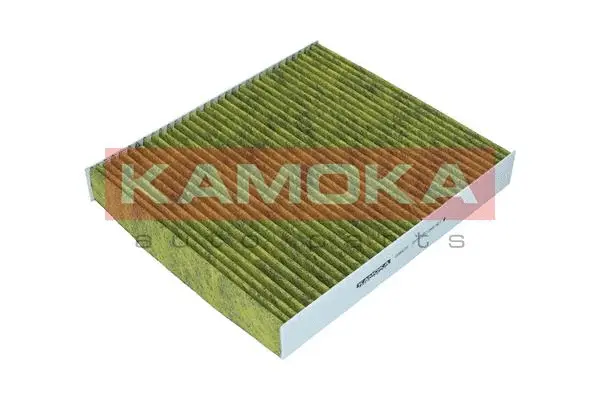 Filter, cabin air (6080070)