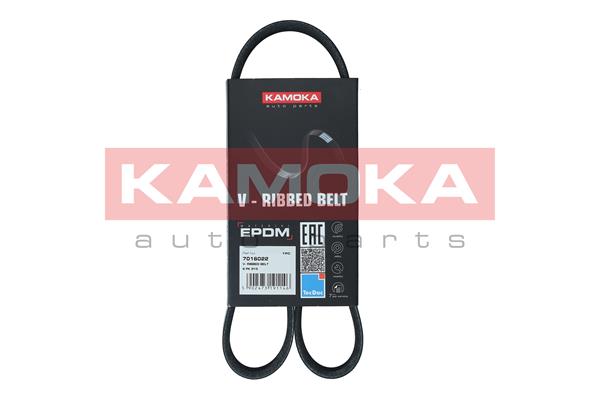 V-Ribbed Belt (7016022)