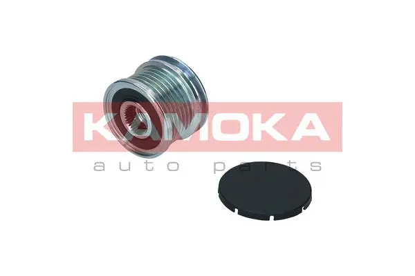 Alternator Freewheel Clutch