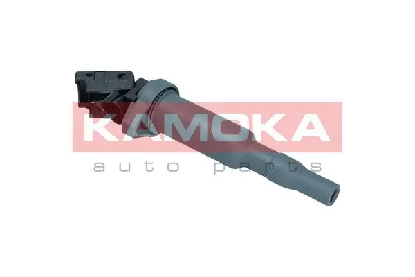 Ignition Coil (7120066)