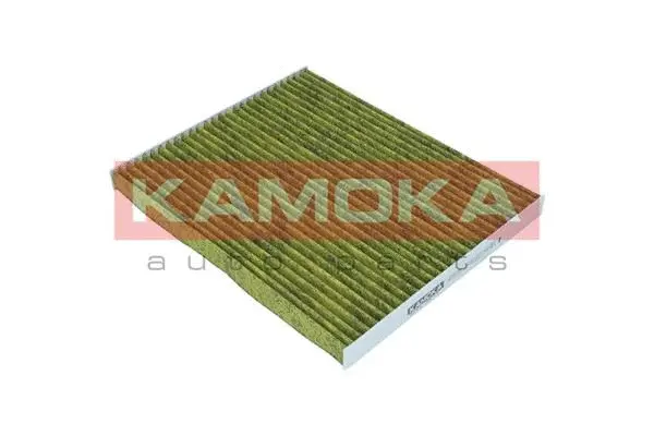 Filter, cabin air (6080039)