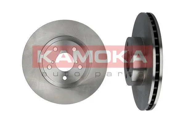 Brake Disc (1031032)