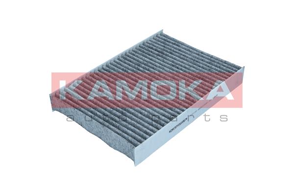 Filter, cabin air (F521101)