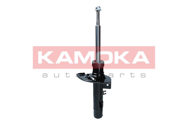 Shock Absorber (2000341)