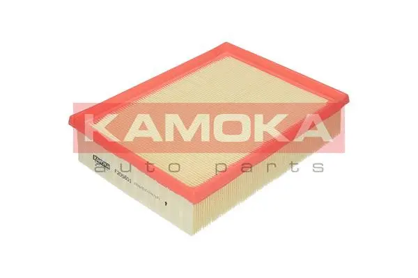 Air Filter (F205601)