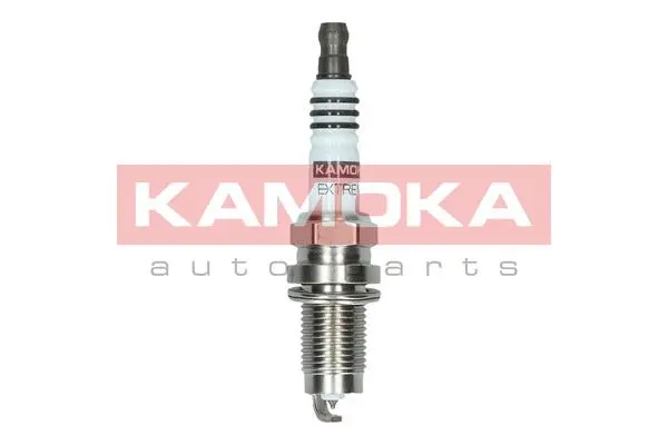 Spark Plug (7090017)