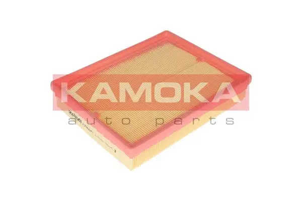 Air Filter (F226801)
