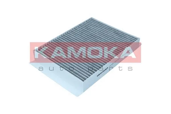 Filter, cabin air (F518601)