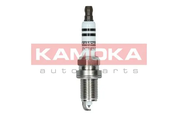 Spark Plug (7090024)