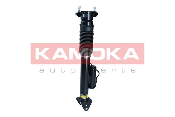 Air Suspension Strut
