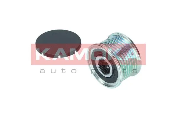 Alternator Freewheel Clutch