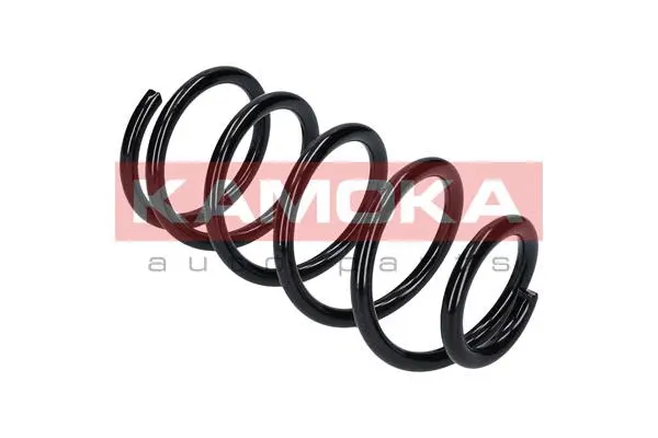 Suspension Spring (2120025)
