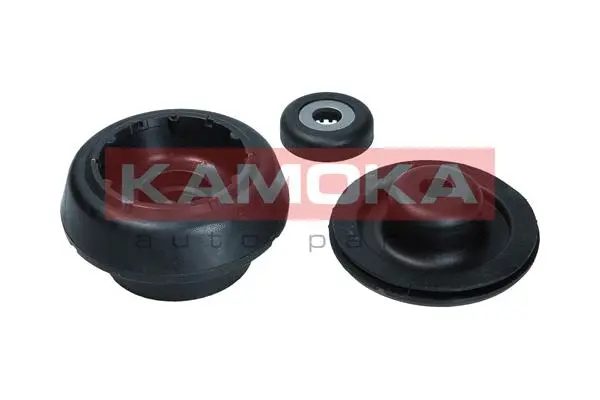 Repair Kit, suspension strut support mount (209031)