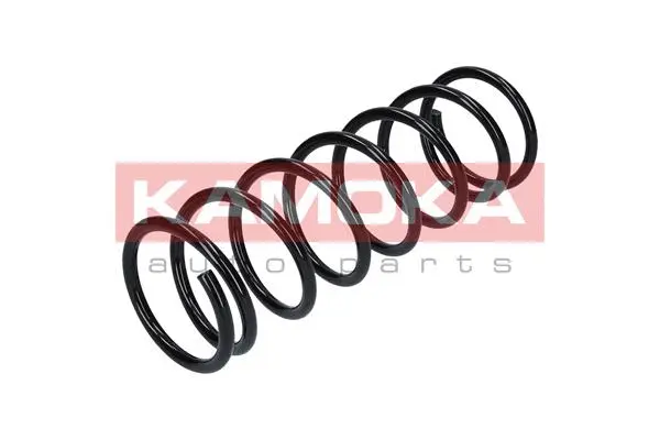 Suspension Spring (2120038)