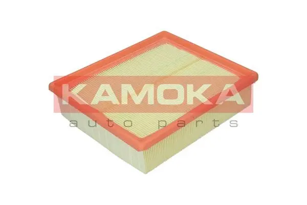 Air Filter (F206401)