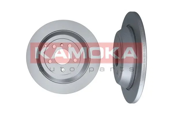 Brake Disc (103200)