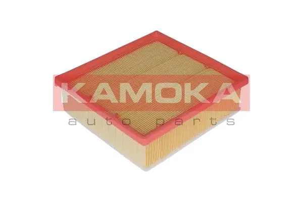 Air Filter (F222101)