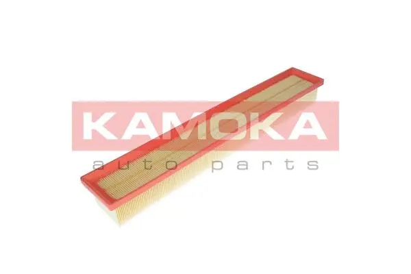 Air Filter (F220101)