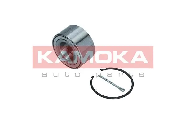Wheel Bearing Kit (5600195)