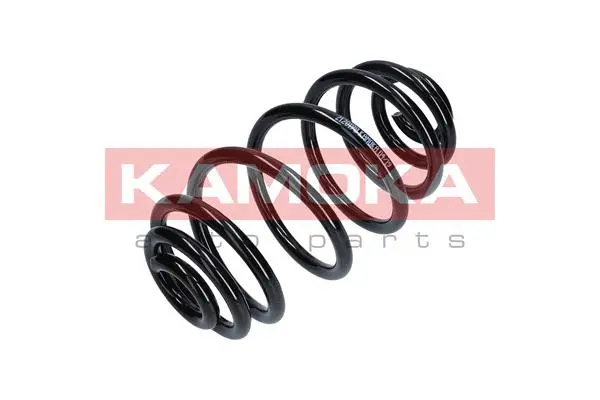 Suspension Spring (2120198)