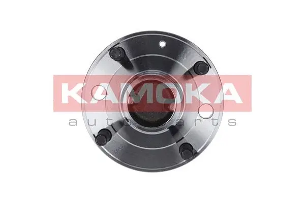 Wheel Bearing Kit (5500091)