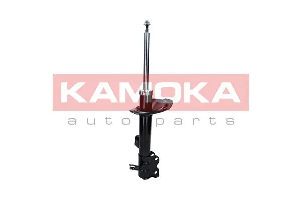 Shock Absorber (2000309)
