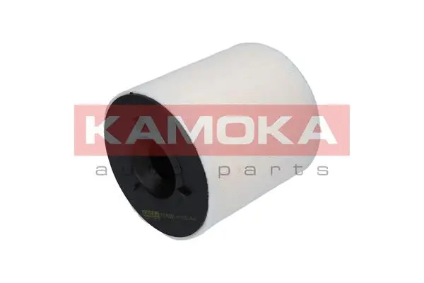 Air Filter (F215301)