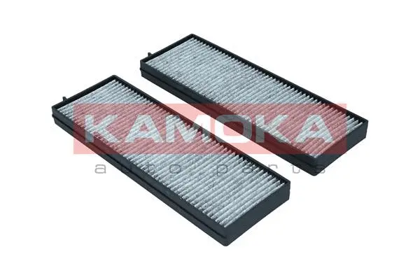 Filter, cabin air (F516301)