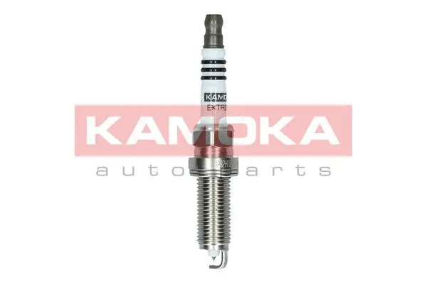 Spark Plug (7100053)