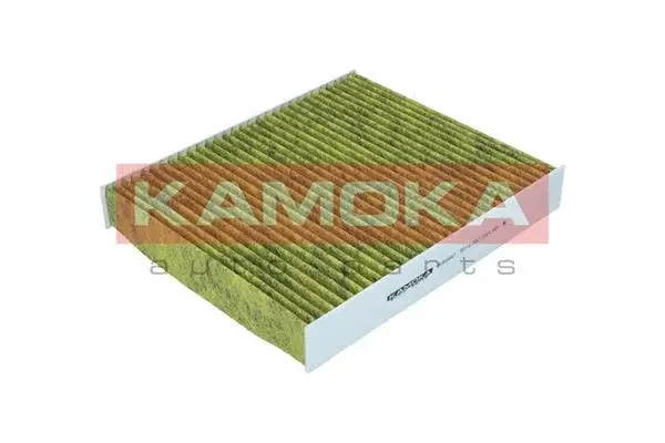 Filter, cabin air (6080047)