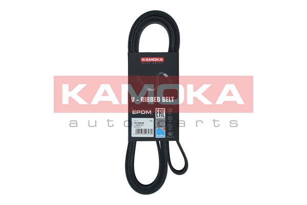 V-Ribbed Belt (7016235)