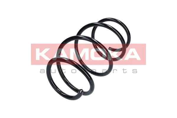 Suspension Spring (2110111)