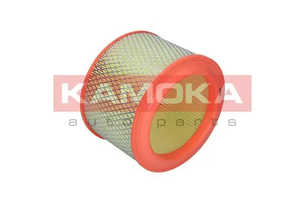 Air Filter (F206301)