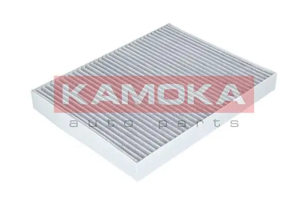 Filter, cabin air (F505101)