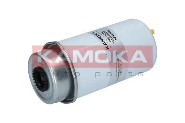 Fuel Filter (F312901)