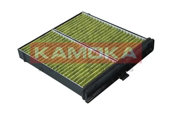 Filter, cabin air (6080149)
