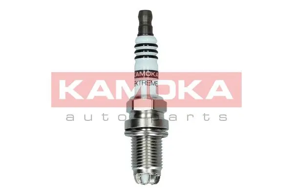 Spark Plug (7090028)