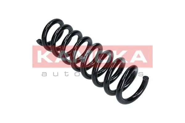 Suspension Spring (2120179)