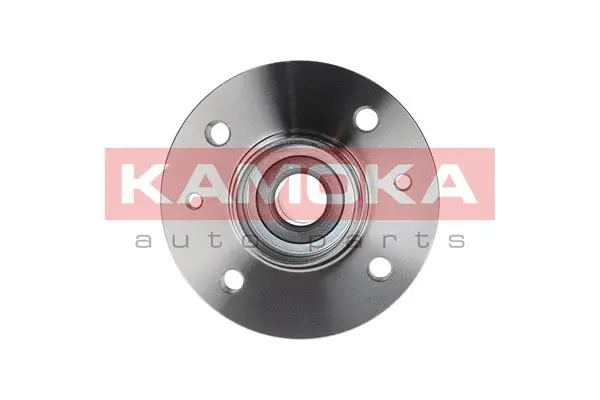 Wheel Bearing Kit (5500008)