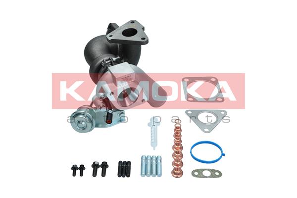 Charger, charging (supercharged/turbocharged) (8600061)